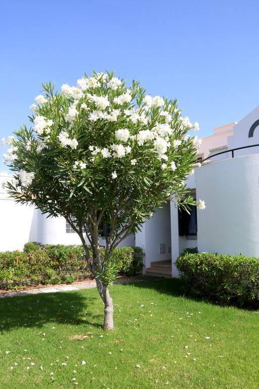 Cabana Da Ria Cabanas De Tavira Dış mekan fotoğraf